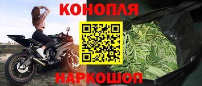 гидра Свободный
