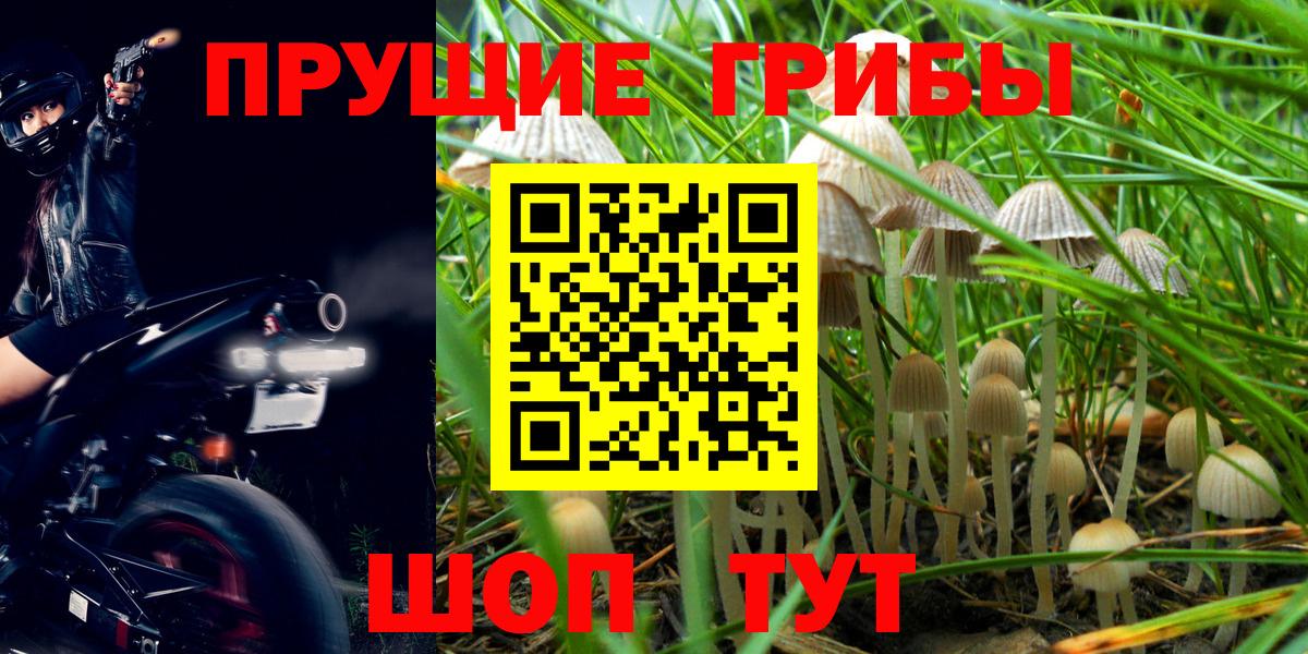 Псилоцибиновые грибы MAGIC MUSHROOMS  Вход с VPN  Печора 