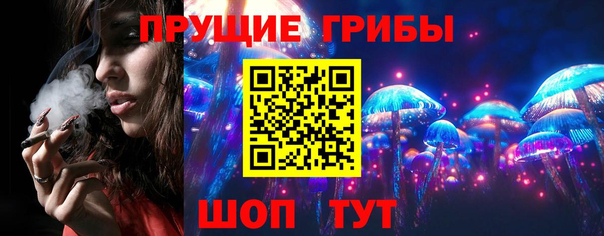 Псилоцибиновые грибы Psilocybine cubensis Печора